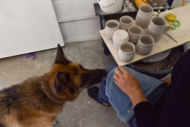 A german shepherd dog named Jolene looks for pets from Jill in her pottery studio in Laingsburg, MI