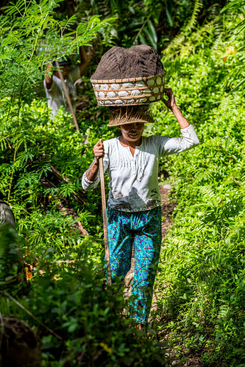woman carrying dirt in a basket on her head Bali