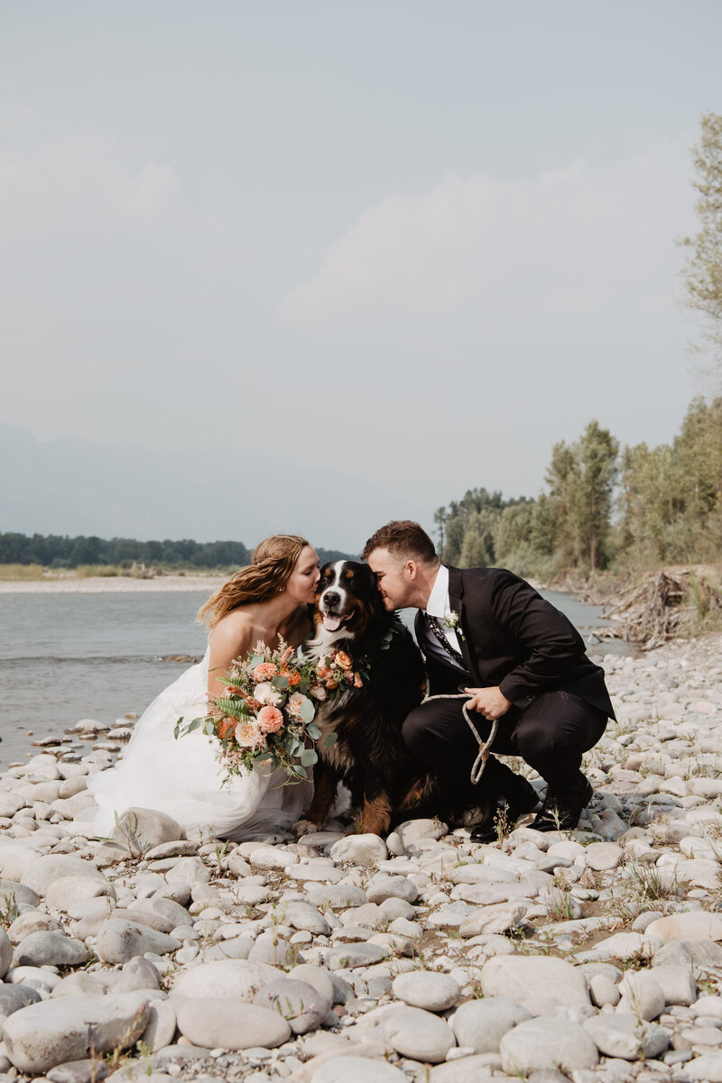 bride and groom crouch down next to their dog and kiss him while they are on the river rocks on the shore of the river captured by jackson hole photographer