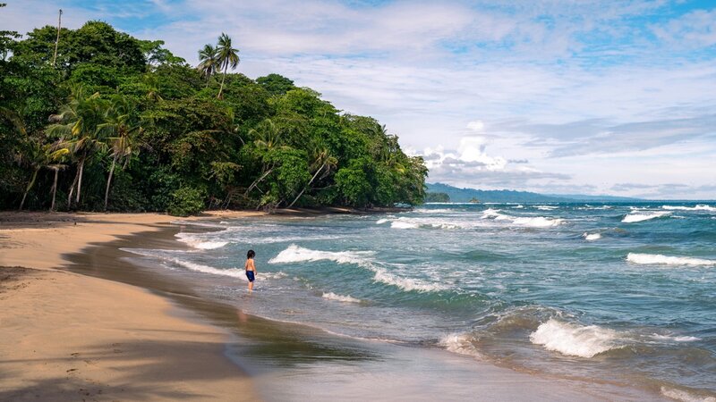 waves crashing against the sand with a lush forest in the background on a south american vacation