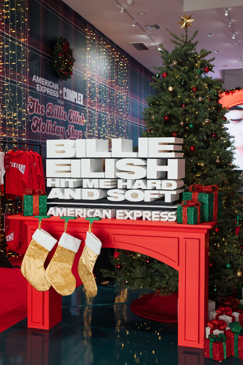 BillieEilish-12-20-24-1