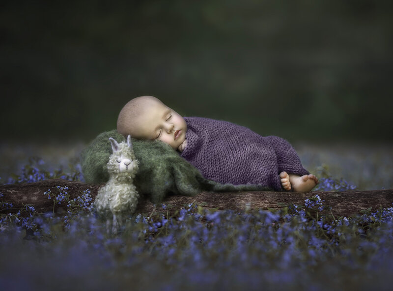 
"Newborn baby sleeping peacefully on a log surrounded by forget-me-not flowers during an outdoor photography session in Ottawa"