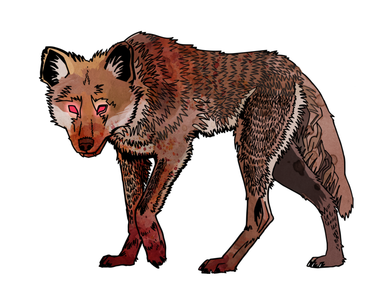 Coyote color4