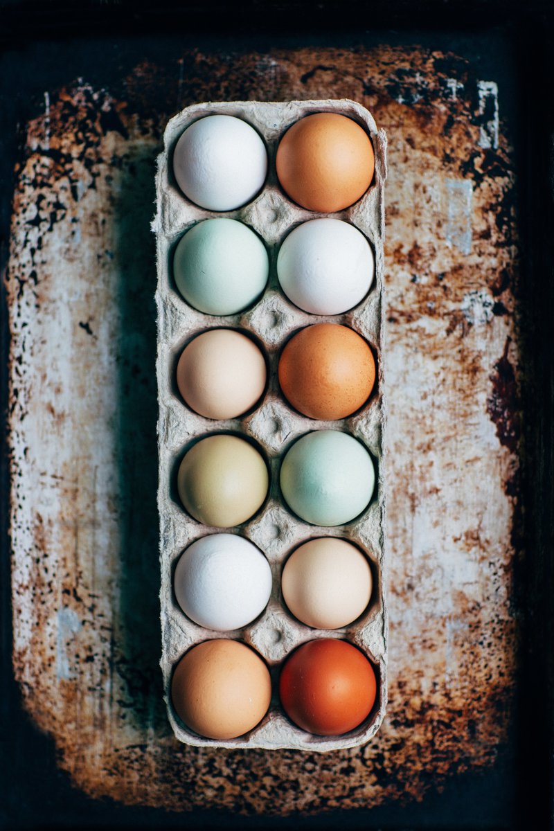 kelly-neil-558253-unsplash