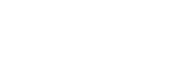 higgins photo and film logo