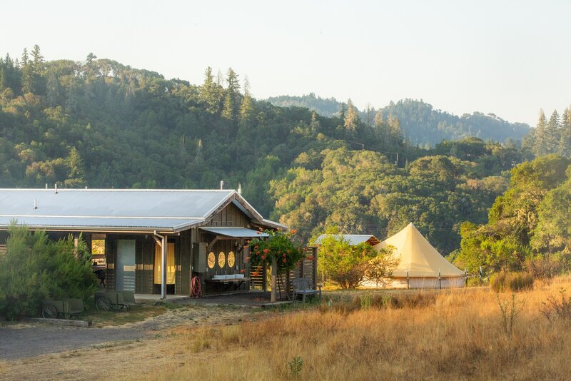 Spiritual Psychedelic Journeys in Mill Valley