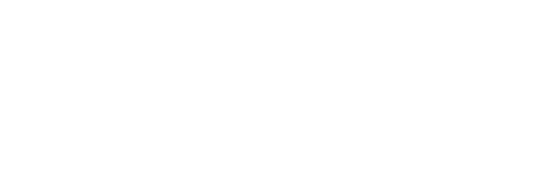 Salix logo