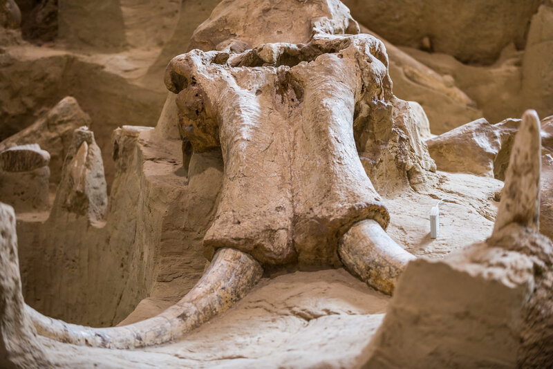 Minnekahta_Mammoth Site 