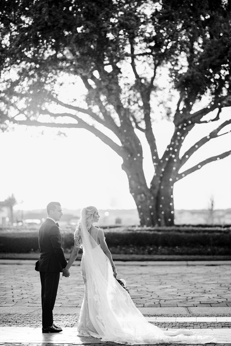 Bride and groom holding hands and looking off into the distance in front of large tree