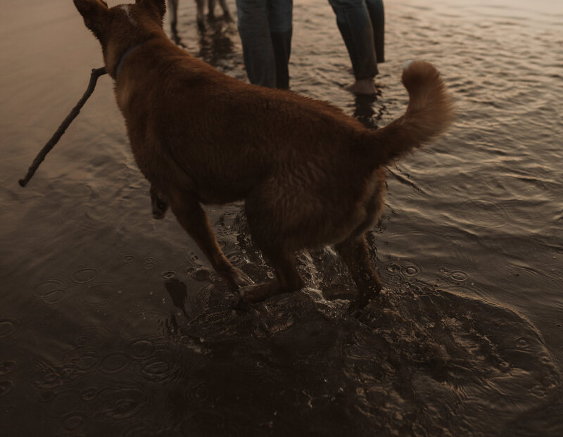 Saskatoon_Beach_EngagementSession_KaylaCassidyPhotography-116