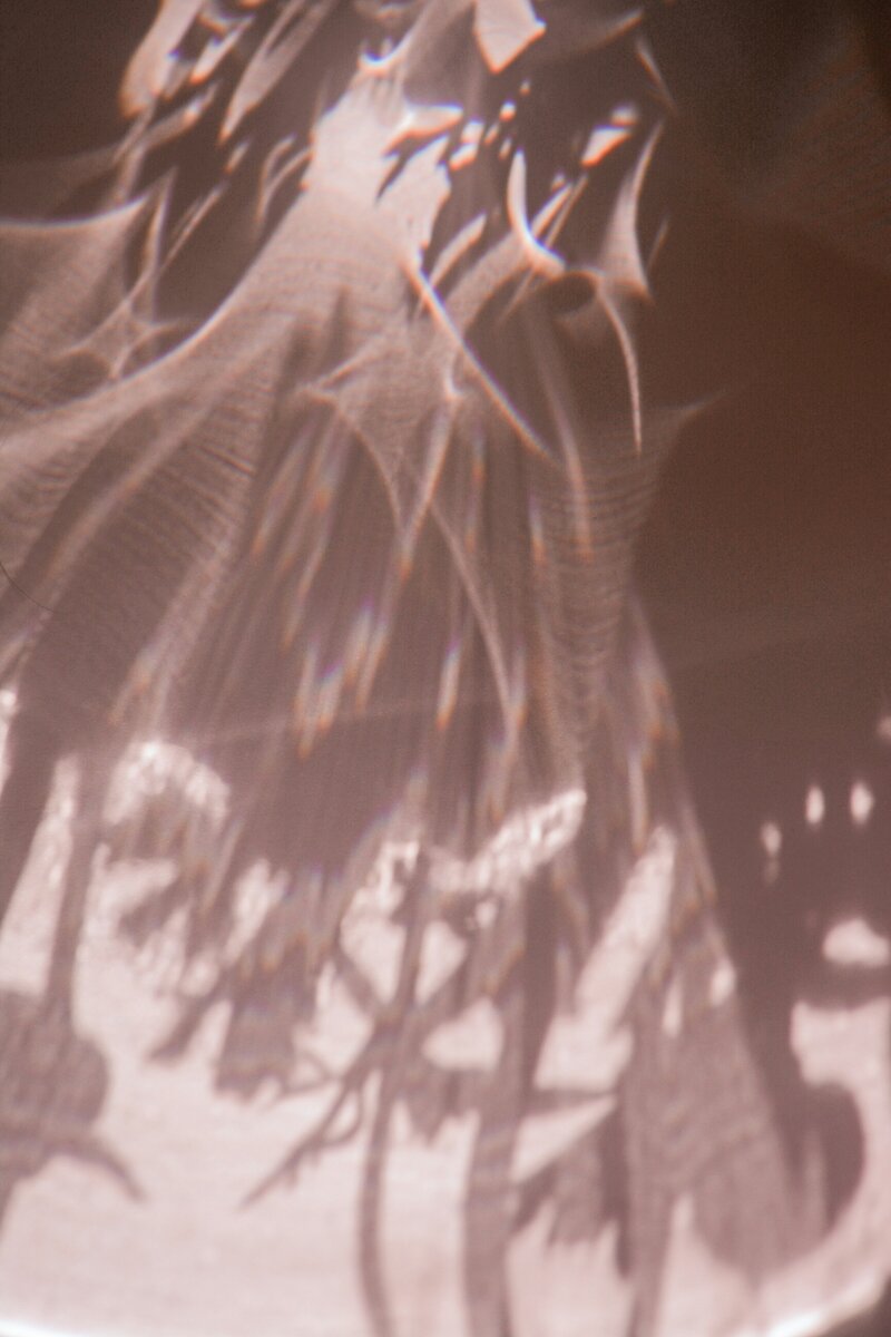 christina-deravedisian-kScTprTDtoI-unsplash