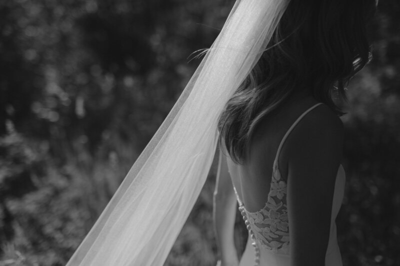 A bride's veil silhouetted in the sun at Lynne Canyon Ranch.
