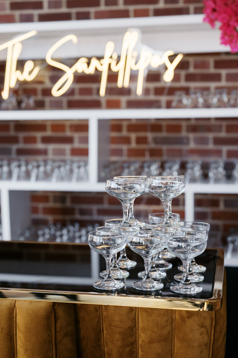 Elley&SantinoWedHighlights-135