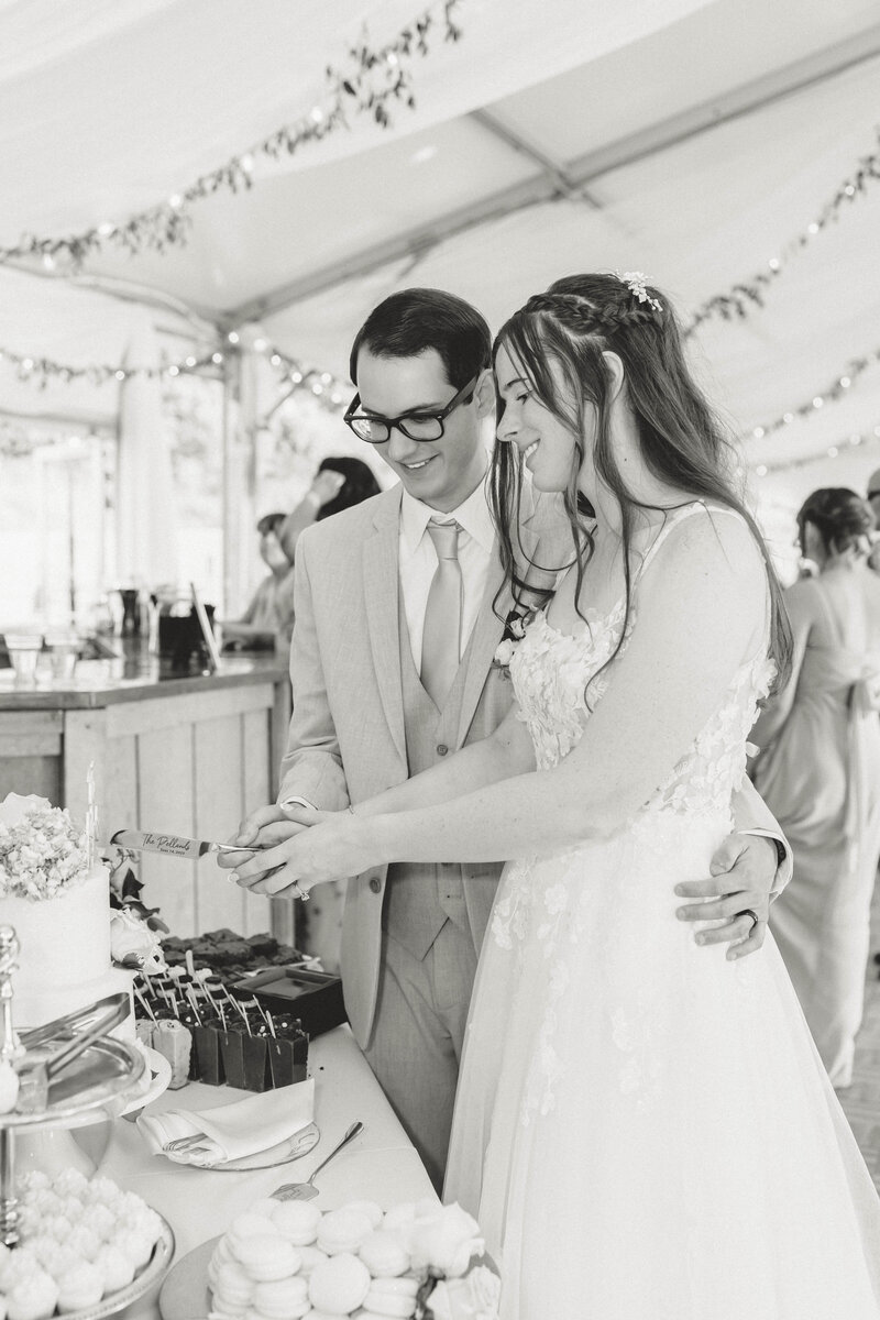 47-Makayla and Phillip - Wedding - Ann Arbor Michigan Photographer - Waldenwoods Howell