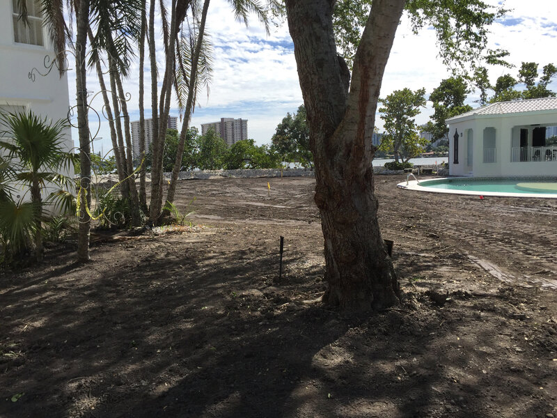 IMG_6428
