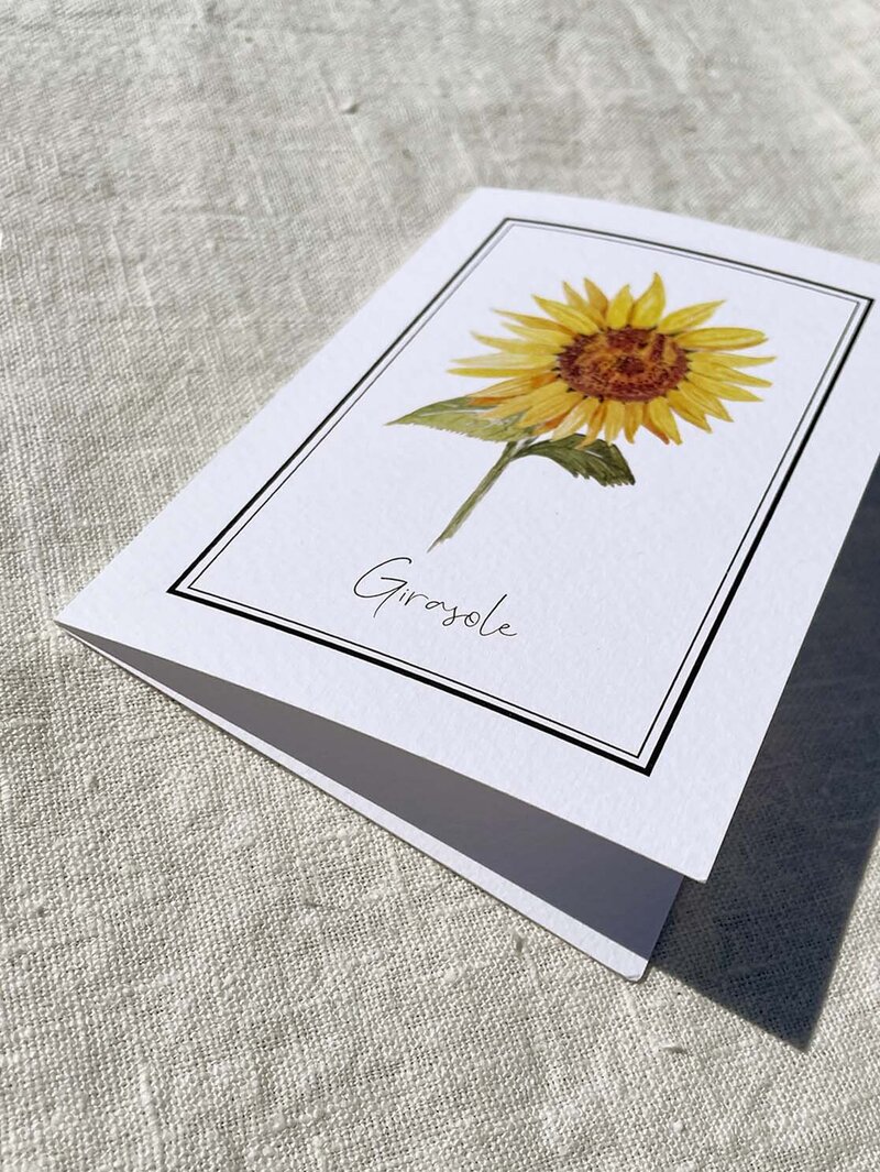 Girasole