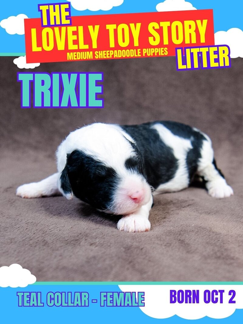 Toy Story - Teal Trixie Female