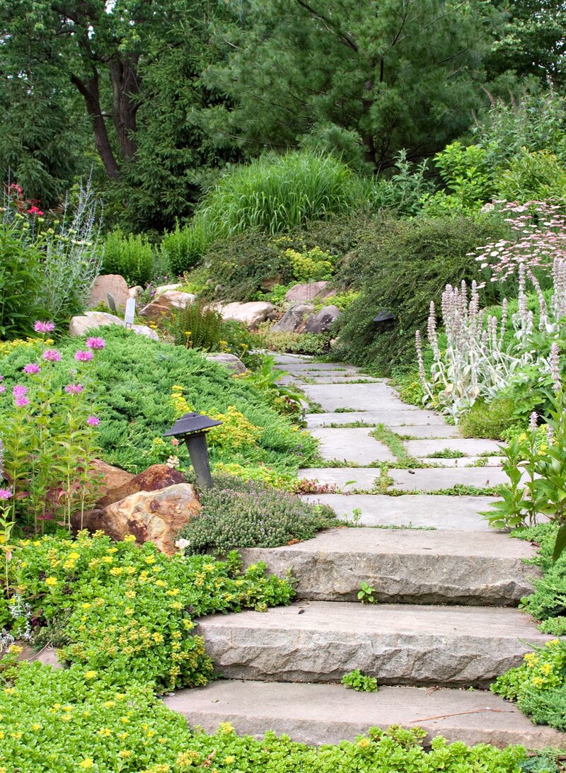 A lush garden pathway with flowering plants on either side and stone steps leading upward.