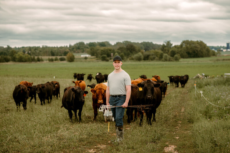 Minneapolis photography portfolio featuring a young man with cattle on a farm
