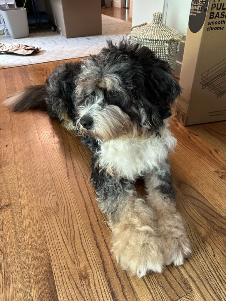 0FD82DD5-3ED8-4C94-ACC6-6BF12027B39C_1_105_c