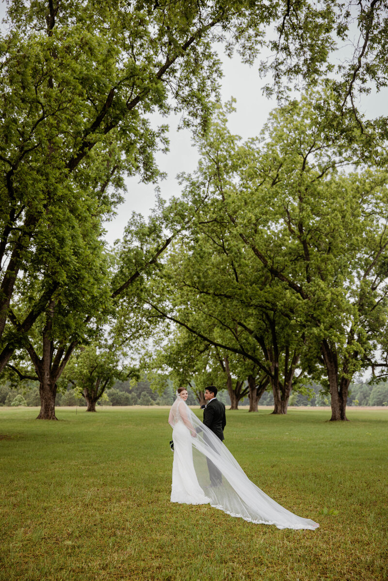 Newlyweds posing in pecan grove
