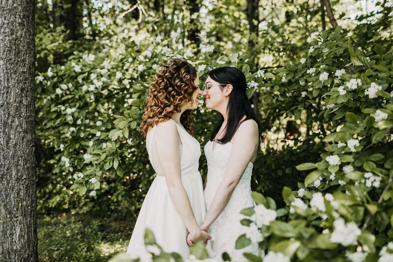 gay couple kissing in trees