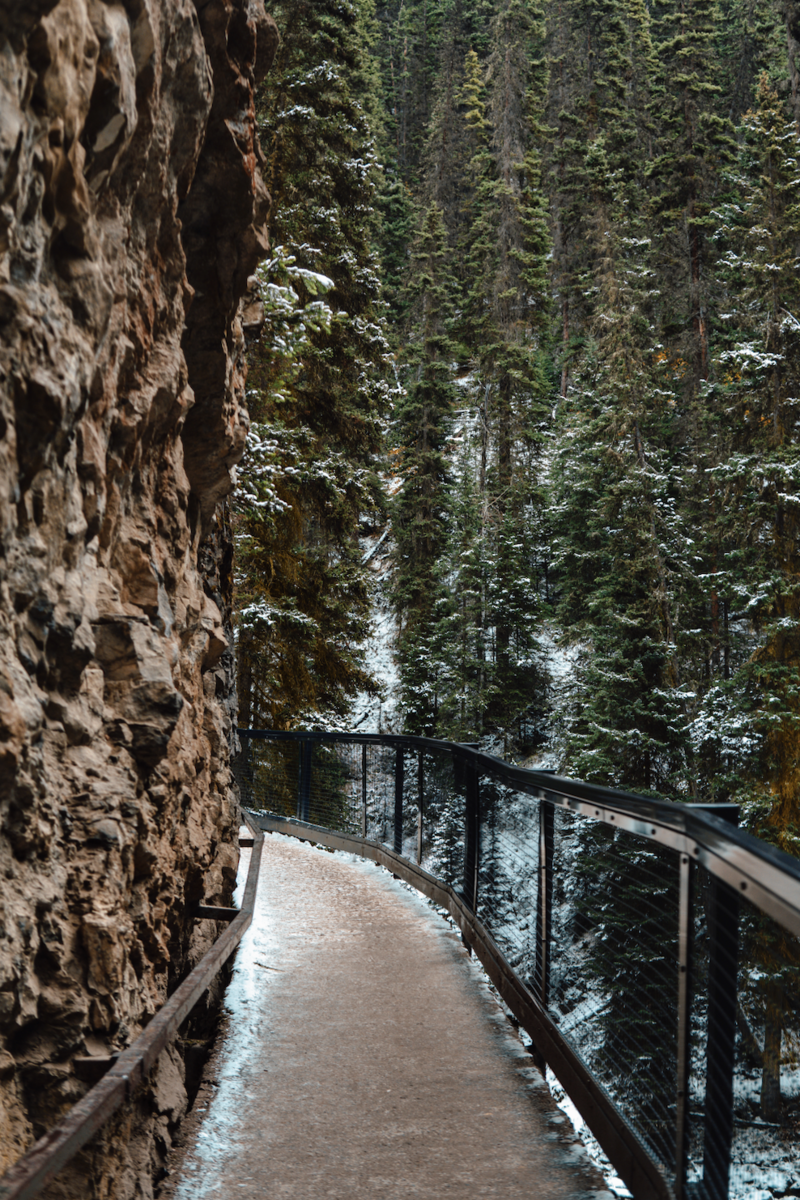 Screenshot 2024-12-23 at 9.15.25 PM