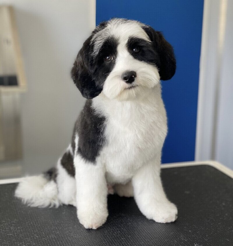 80EFEED9-E812-4893-BF45-F9CC5B04028E_1_105_c