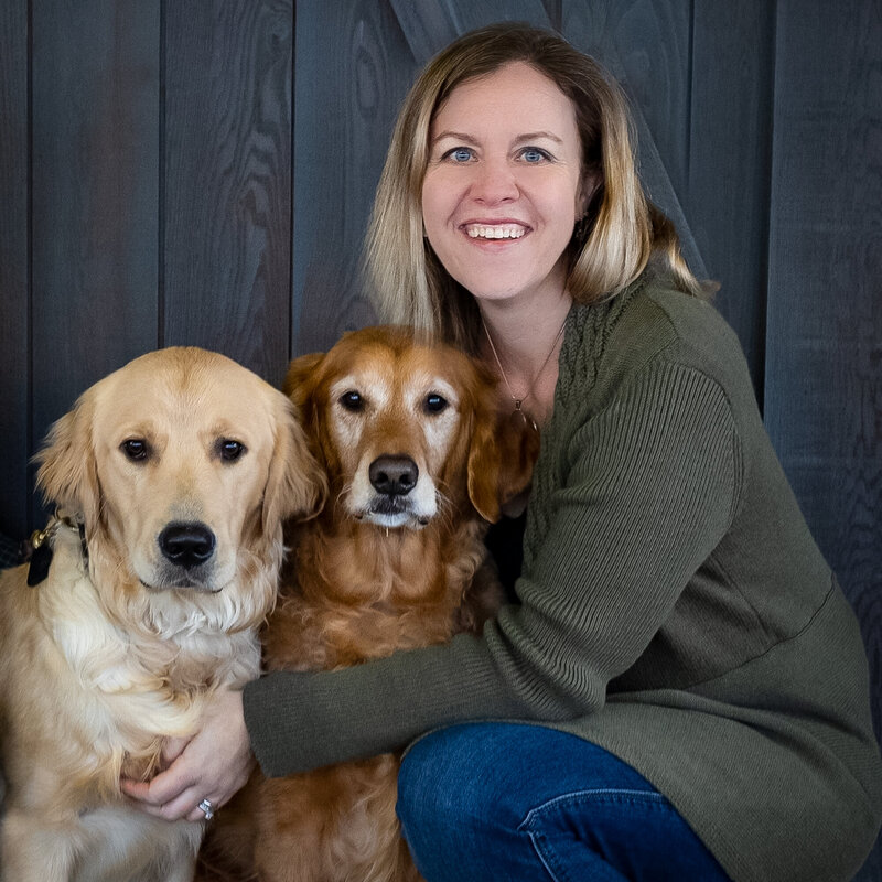 White and red Golden Retrievers with lady