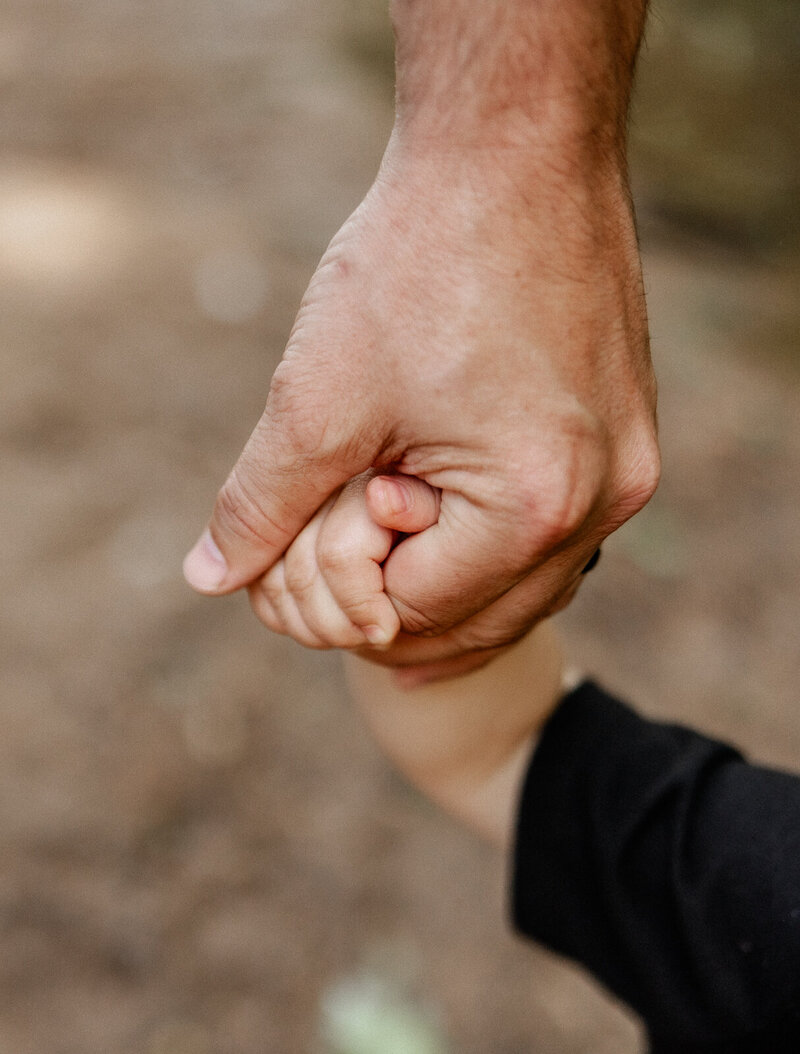 Close up of father and toddler son holding hands of their hands only. 