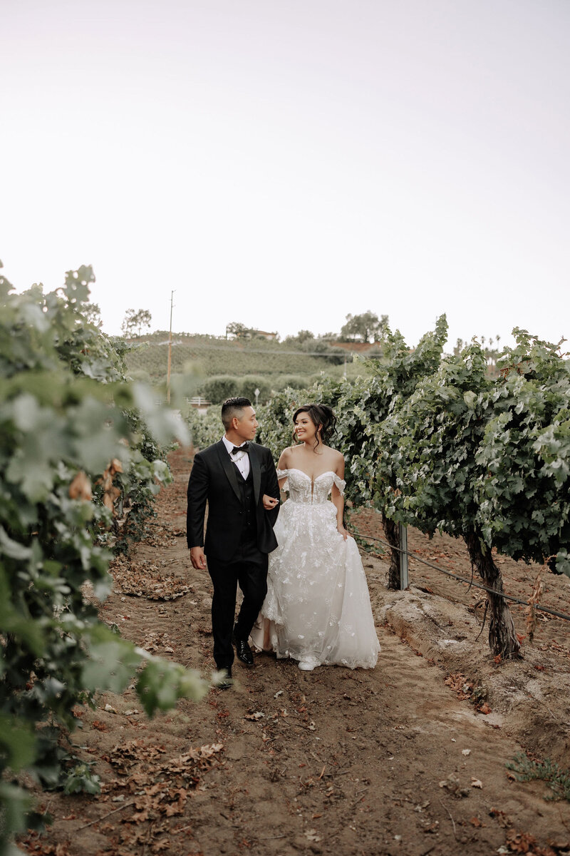 bride and groom wedding photos in a vineyard