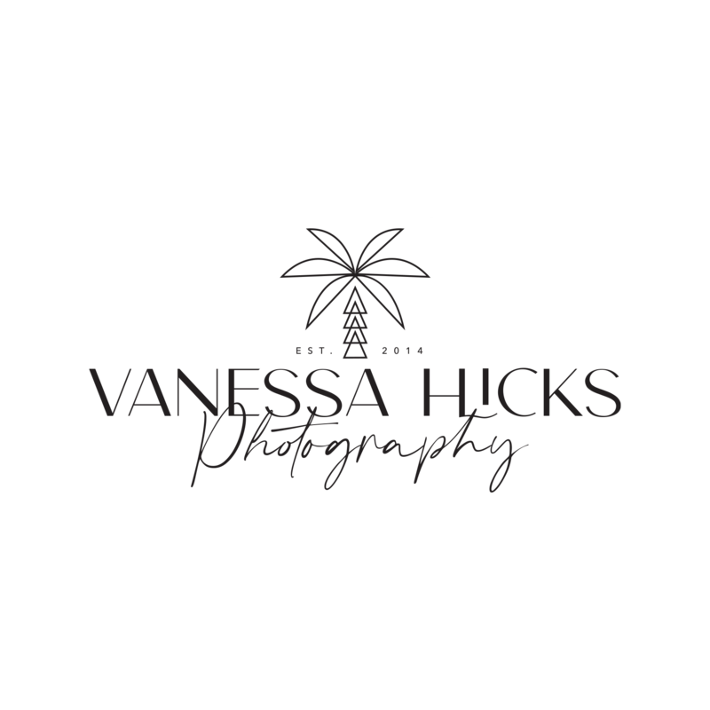Destination Wedding Photographer Vanessa Hicks Photography business logo