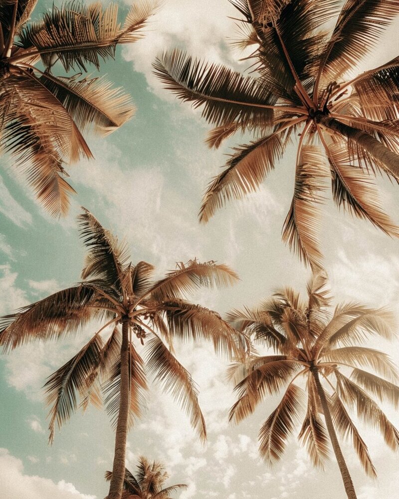 Travel Agent Collective - Image (5)