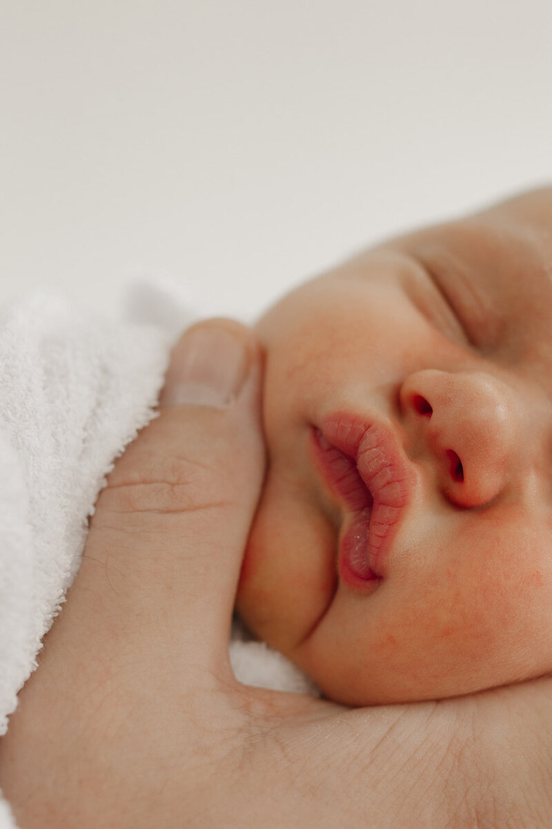 Newborn Little features photographer Cairns