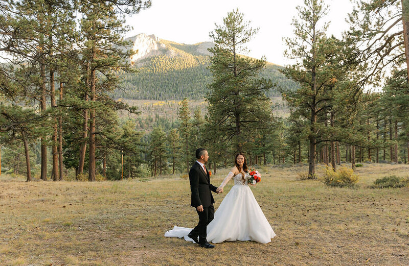 bride and groom portrait by wedding photography mentor mrs ferree photography