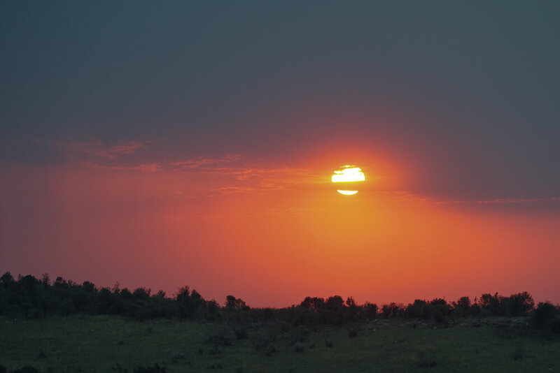 safariedited-535