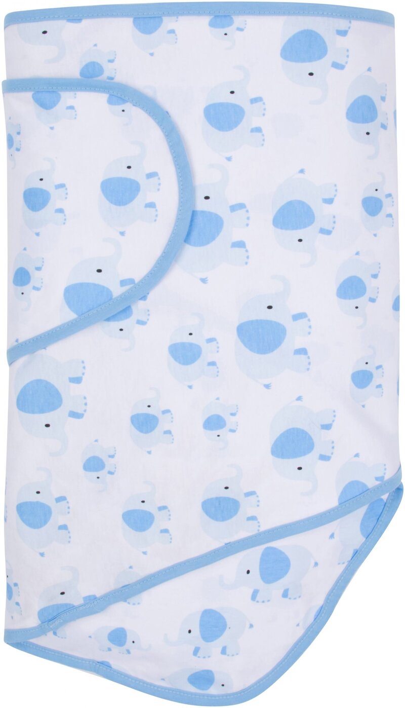 blue elephants 1