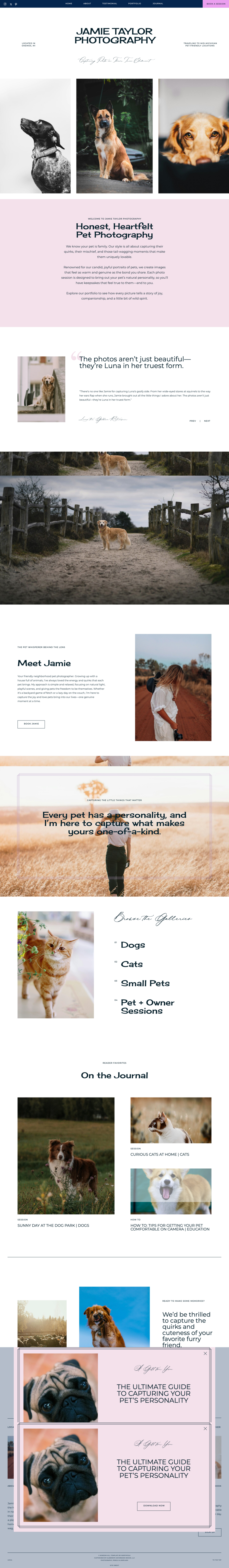 Pet photography website mockup of dogs photos