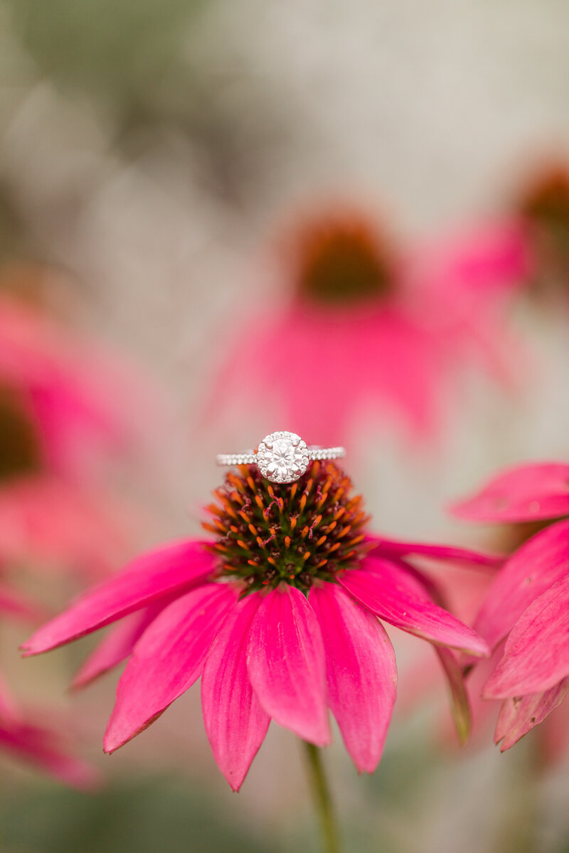 Jennifer B Photography-Weymouth Gardens-Southern Pines-Jackson and Hannah-Engagement-2020-0202