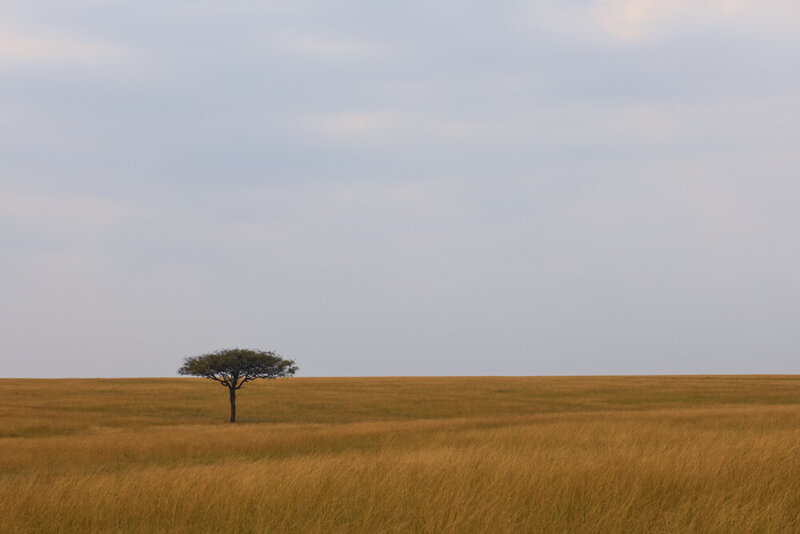 safariedited-073