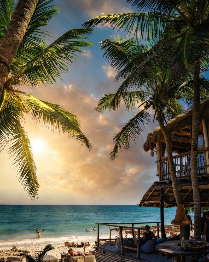 Beachfront hammock and palm trees at sunset in Mexico, perfect for a tropical getaway