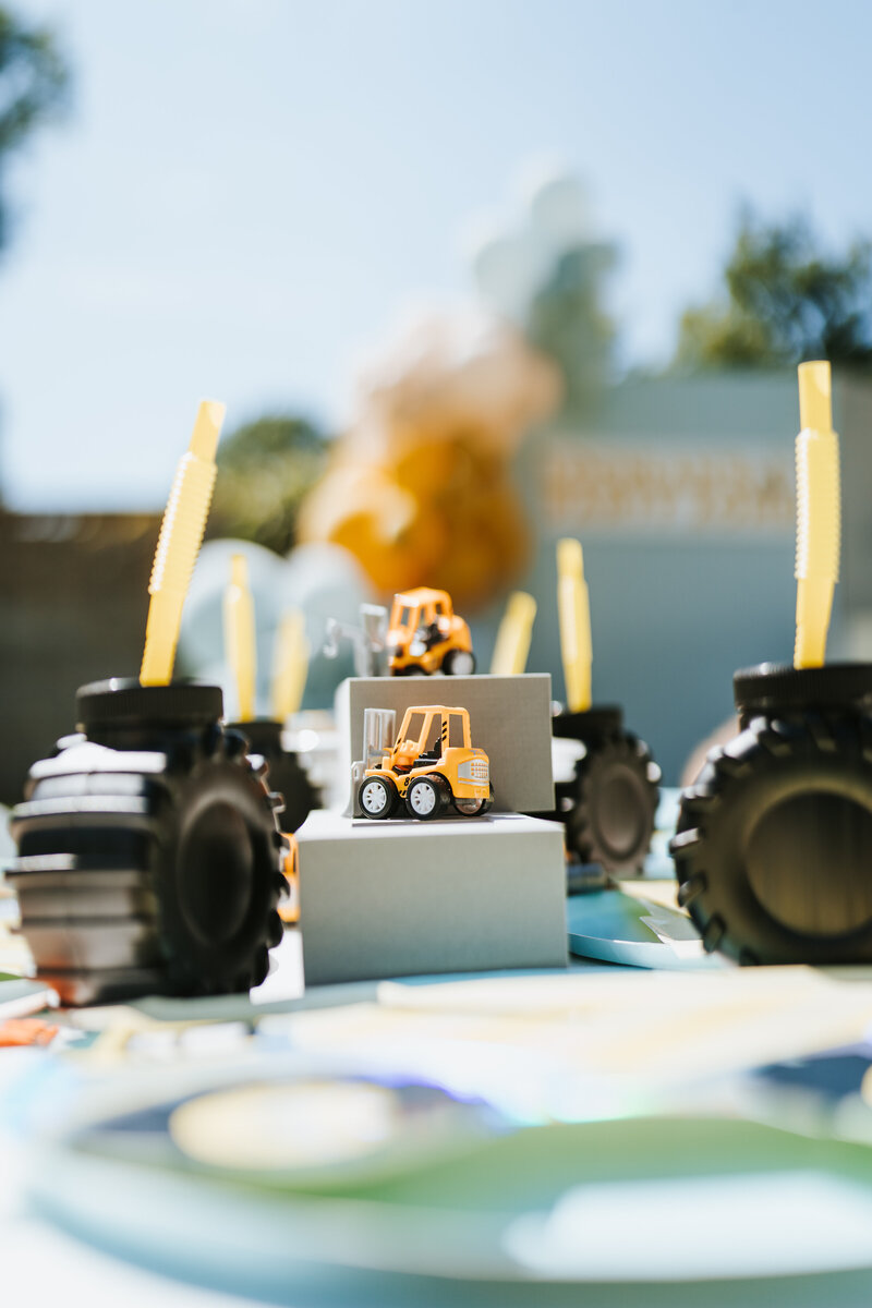 BrigetteBillupsPhotography_Locklan2ndBirthdayParty-27