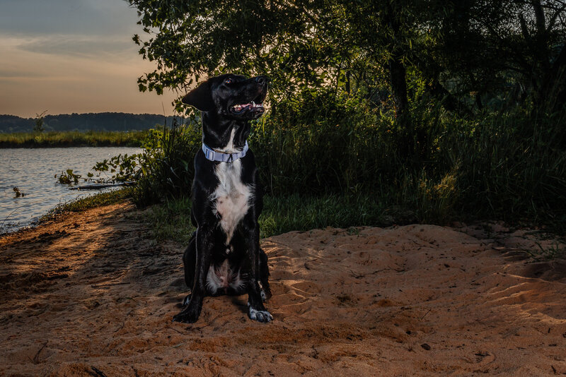 1C2A9252-Edit