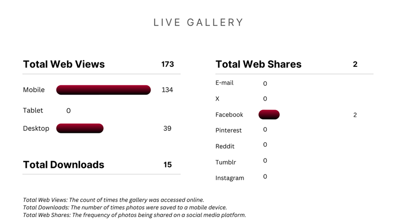 Live Gallery-Analytics-Brand-Activations