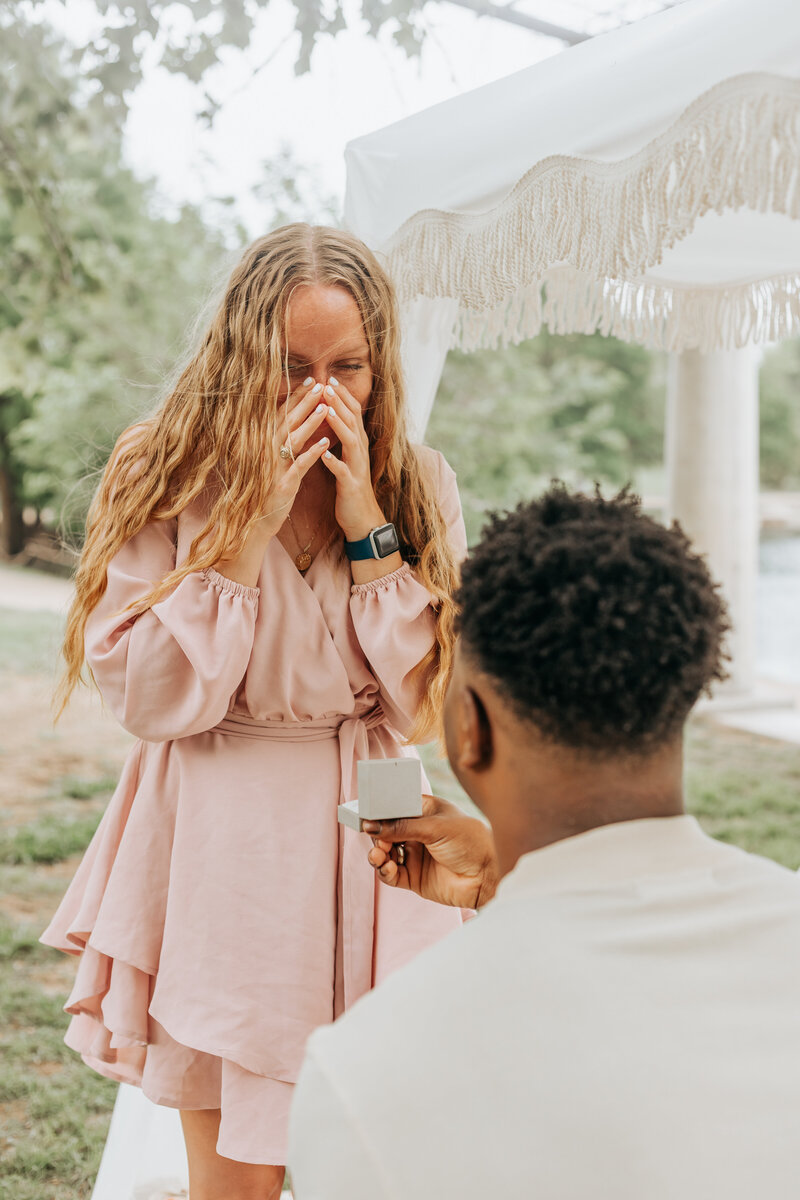 Picnic Proposal in Austin Texas