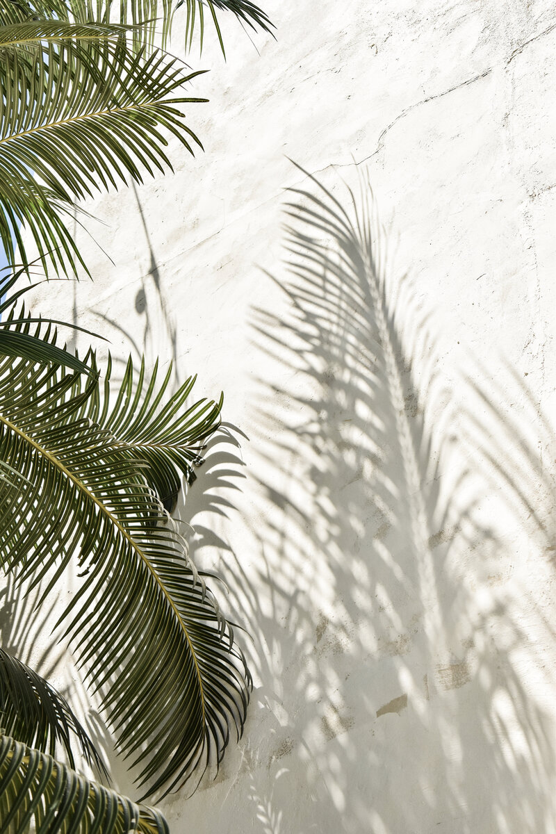 Monthly bookkeeping services for creative entrepreneurs