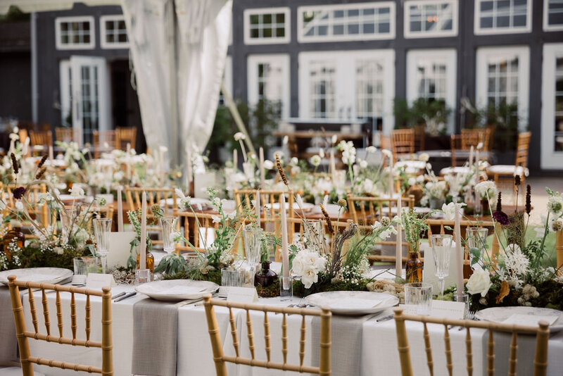 Shelby_Sam(311of843)