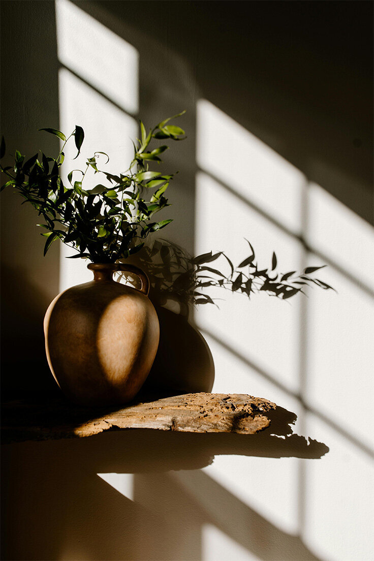 A simple vase containing a lush green plant, adding a touch of nature to the setting.