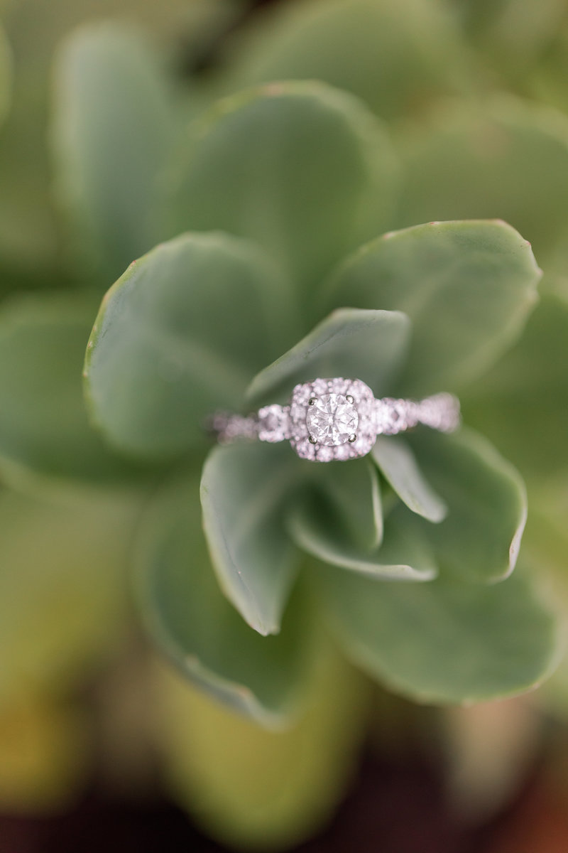 Jennifer B Photography-Downtown Southern Pines and Pinehurst Arboretum Engagement-Matthew & Amanda-2019-0088