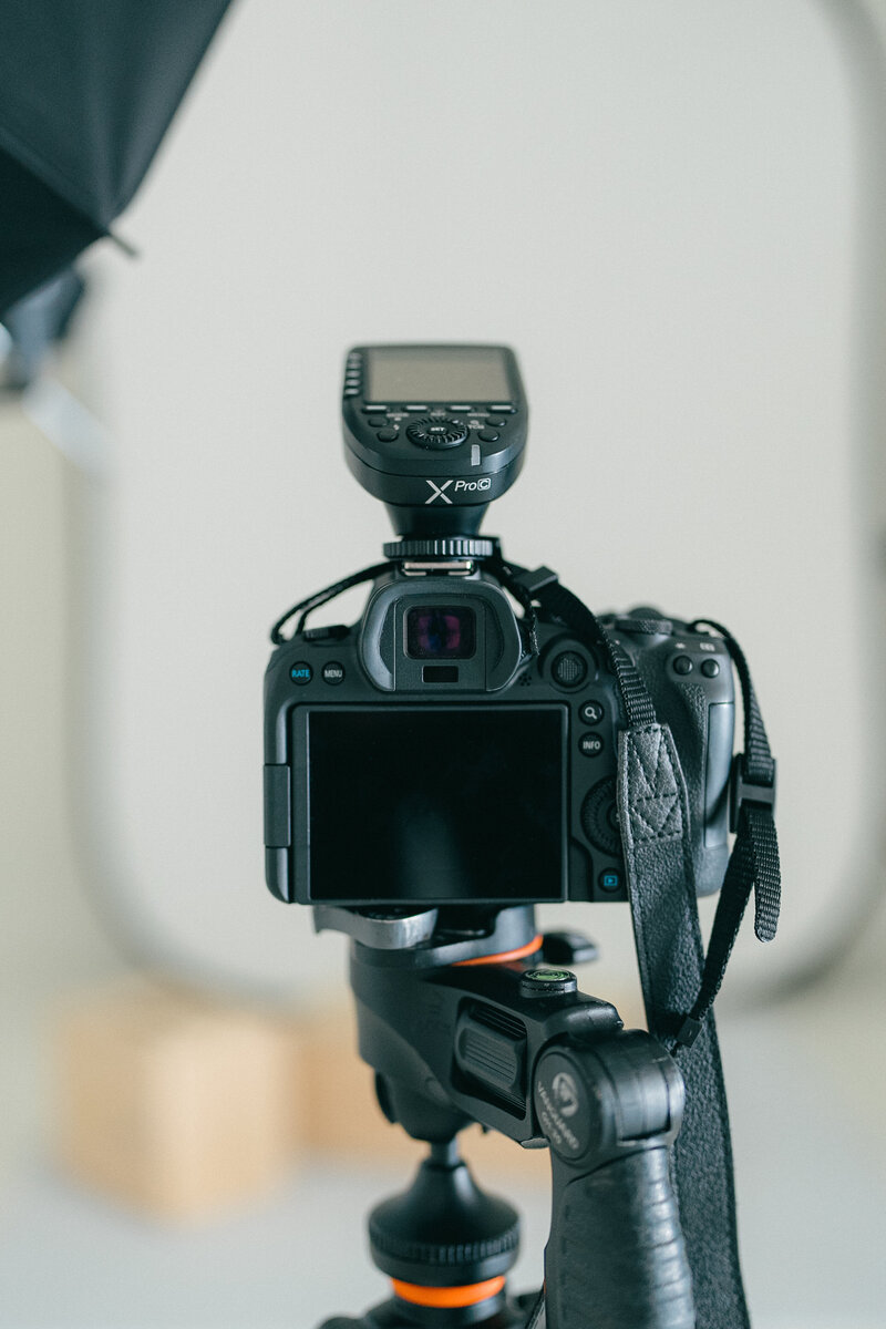 Master the art of heirloom portrait photography and become a licensed heirloom certified photographer through Born and Raised Studio. 